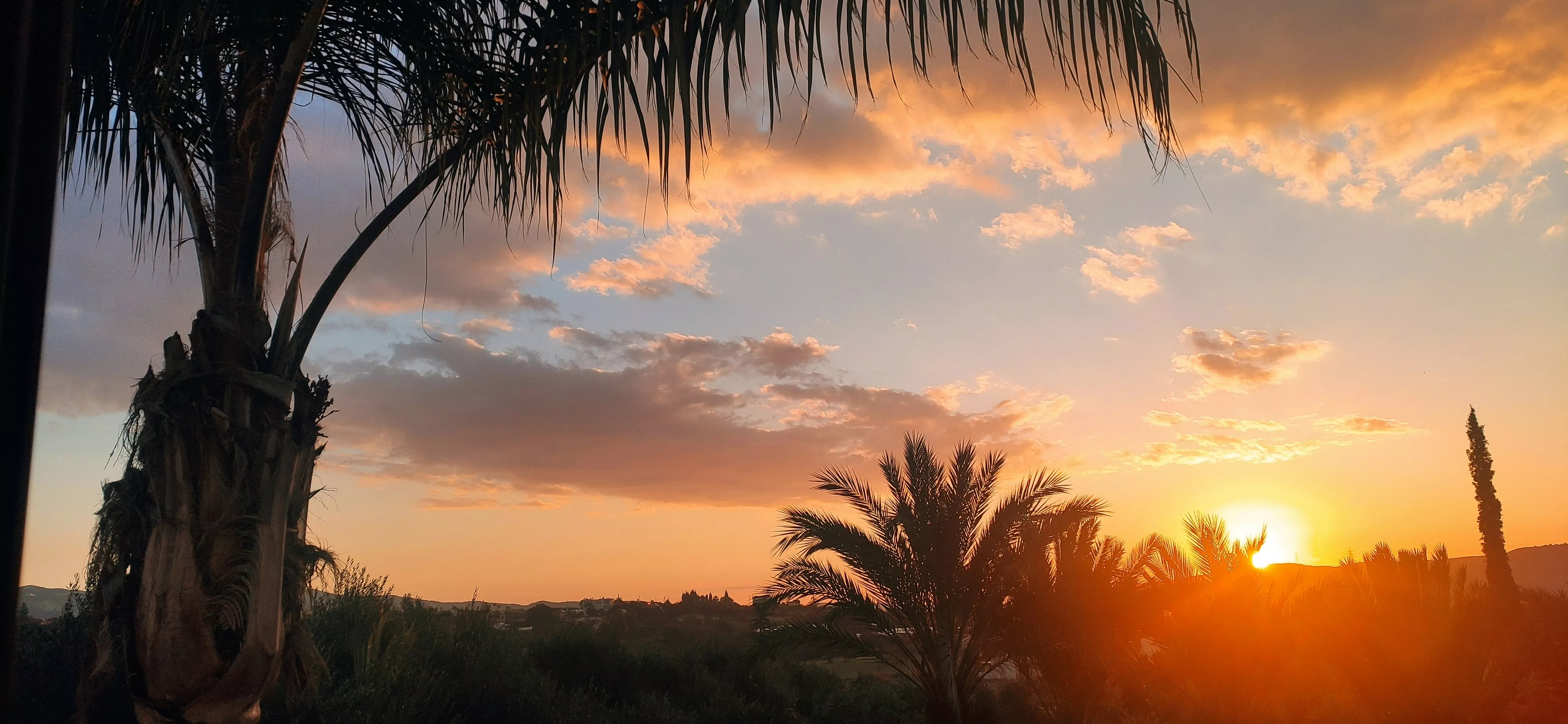 Limassol - Abendstimmung - Exklusiver Begleitservice